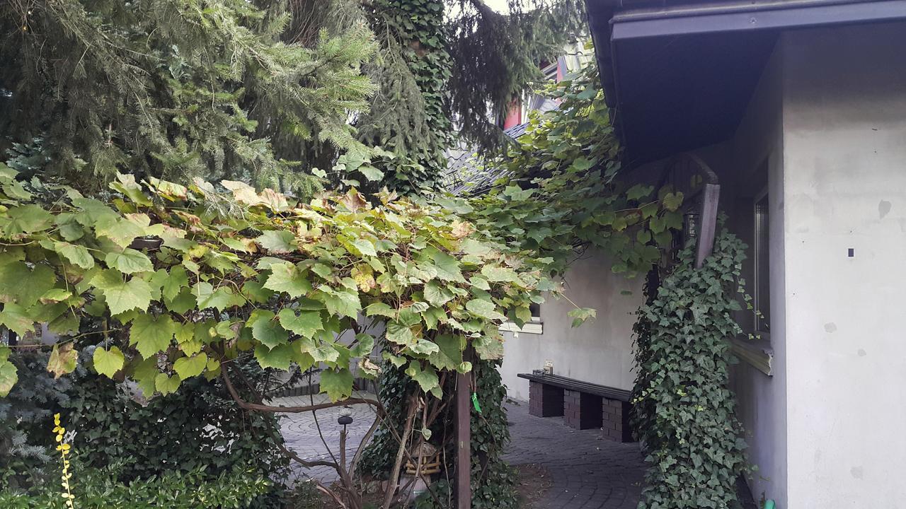 Pensjonat Europa Brzeziny Bagian luar foto